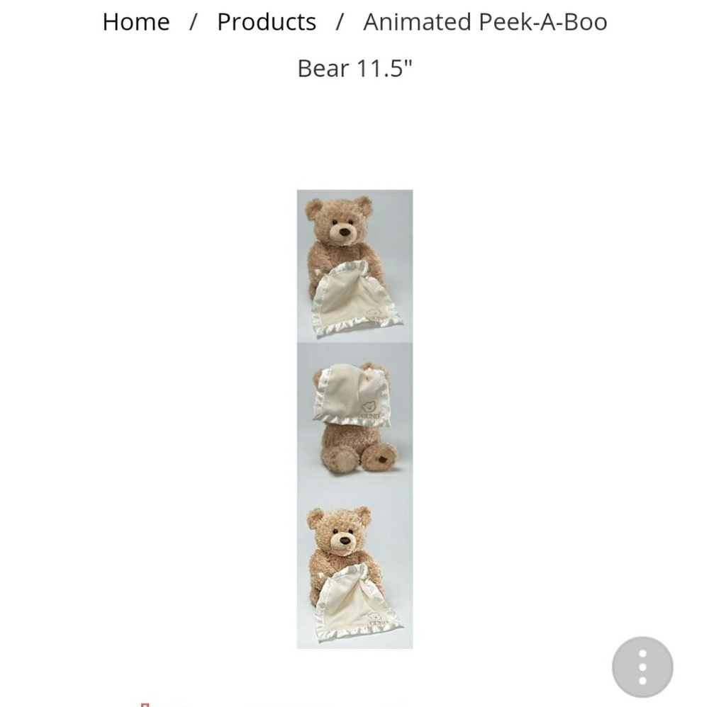 Bear - Picture 3 of 4